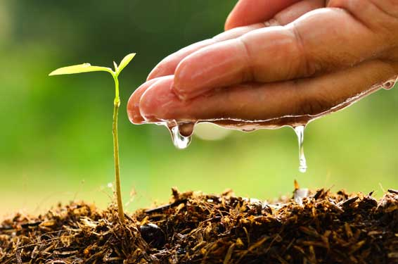 Physical Effectiveness of Soil and Water Conservation Technologies in Drought Prone Areas of Western and Central Uganda